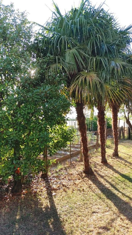 سان دونا دي بيافي B&B Al Vecio Morer المظهر الخارجي الصورة